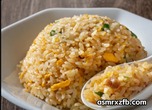 [RJ01320590][秋野かえで]深夜异世界 美食诱惑食堂 炒饭